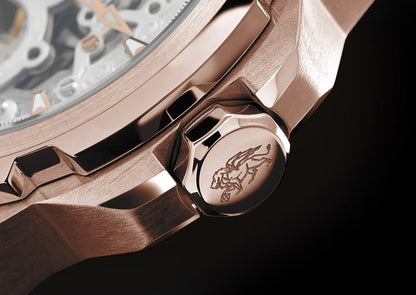 GRIFFIN EMBLEM ETOILE MONTANTE RGN001-5